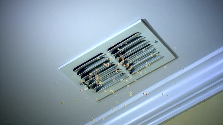 Best Duct Cleaning for Homes  in Red Boiling Springs, TN
