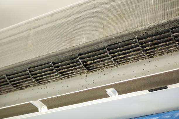 Best Air Duct Cleaning Near Me  in Red Boiling Springs, TN